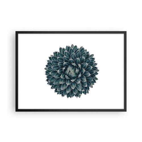 Plakat i sort ramme - Ørkenstjerne - 70x50 cm