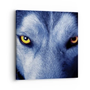 Lærredstryk - Billede på lærred - Et hypnotiserende udseende - 30x30 cm