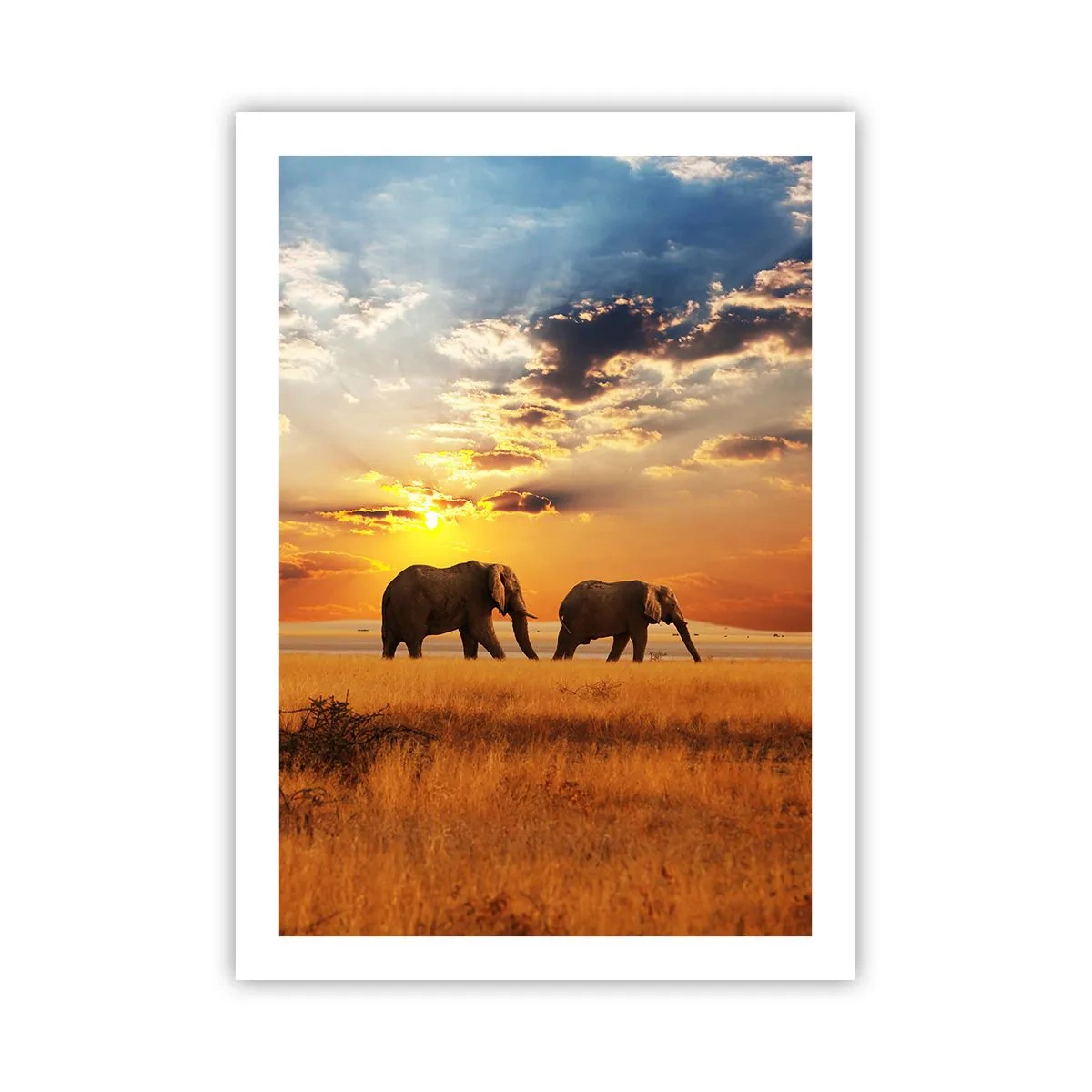 Plakat - Familievandring - 50x70 cm