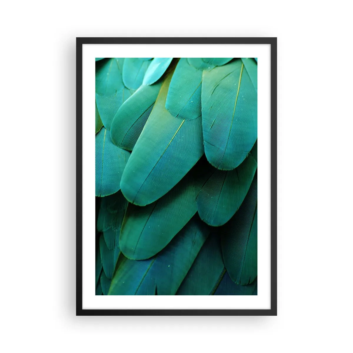 Plakat i sort ramme - Nærbillede af de grønne fjer fra en eksotisk fugl - 50x70cm - Papegøjenaturens præcision - Moderne vægdekoration til stue og soveværelse ARTTOR