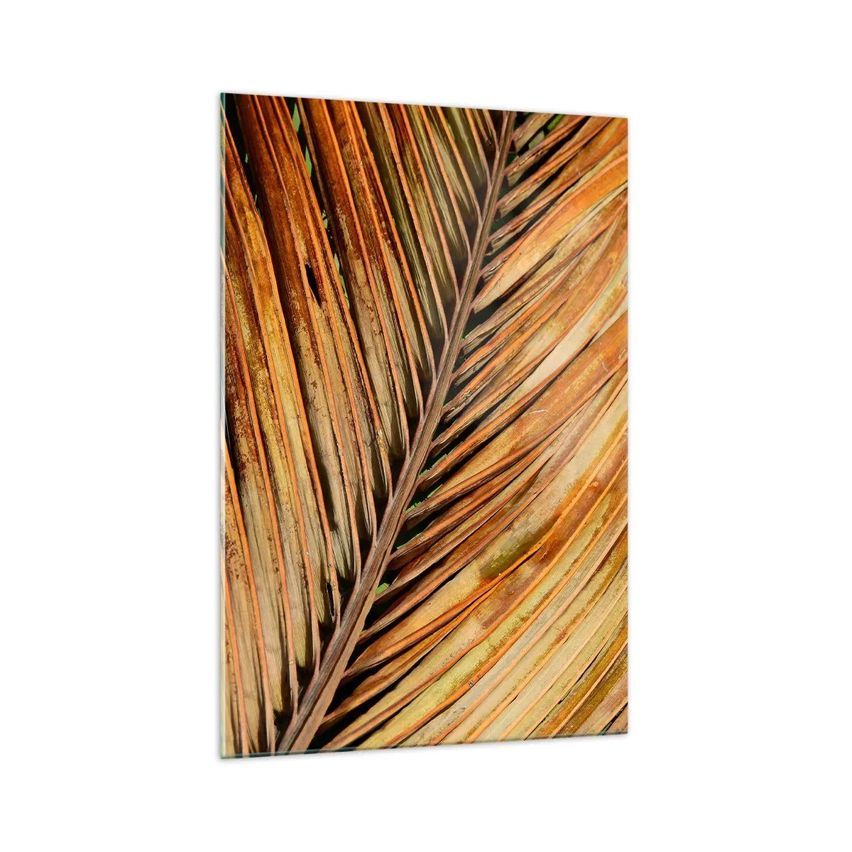 Billede på glas - Kokosnød guld - 70x100 cm