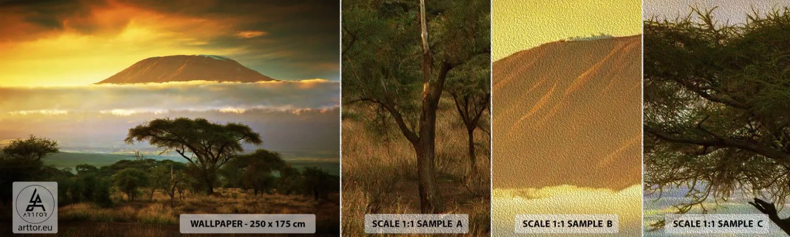 Prøve Fototapet Premium Sand - En rejsendes drøm - Landskab, Kilimanjaro-bjerget, Afrika - 100x30 cm