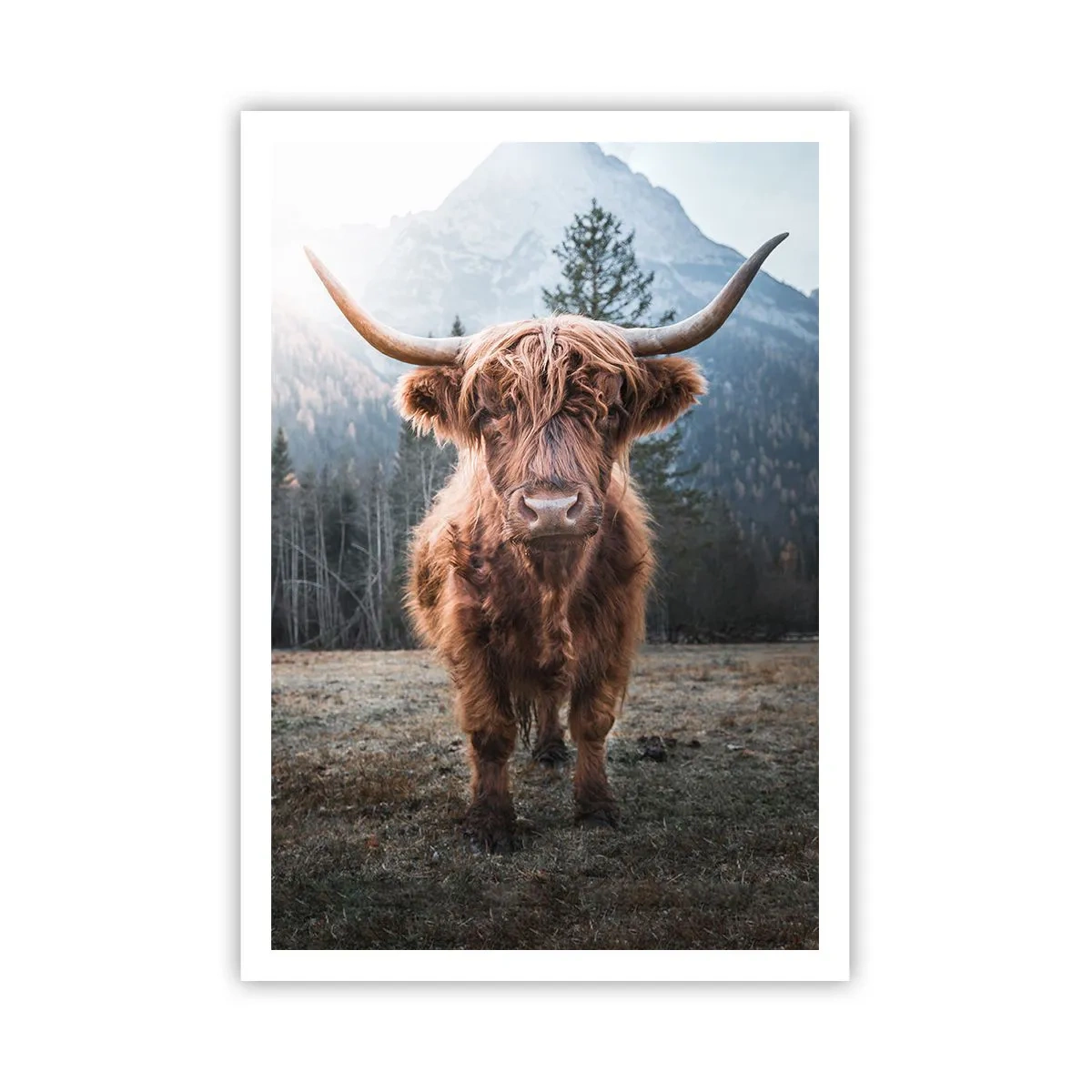 Plakat - Hilsner fra en eng i bjergene - 70x100 cm