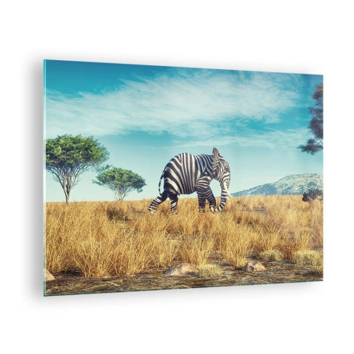 Billede på glas - En elefant med zebrastriber på savannen under himlen - 70x50cm - Grå er ikke længere på mode - Moderne vægdekoration til stue og soveværelse ARTTOR