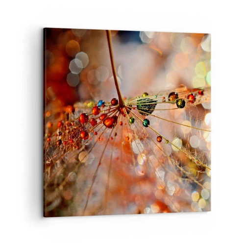 Lærredstryk - Billede på lærred - Trådet på et edderkoppespind - 50x50 cm