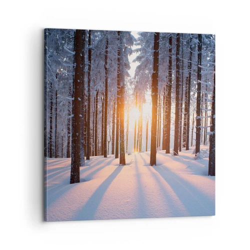 Lærredstryk - Billede på lærred - Klart i sort og hvidt - 60x60 cm