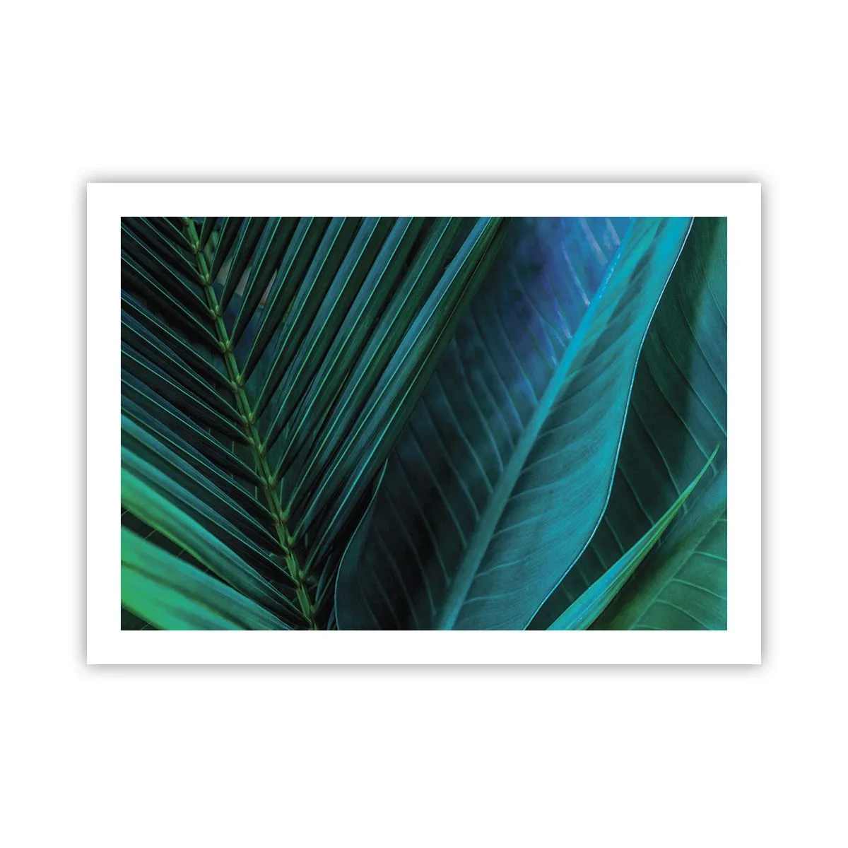 Plakat - Anatomi af en grøn - 70x50 cm