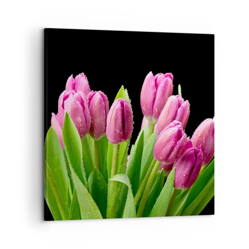Lærredstryk - Billede på lærred - Forårets lilla glæde - 60x60 cm