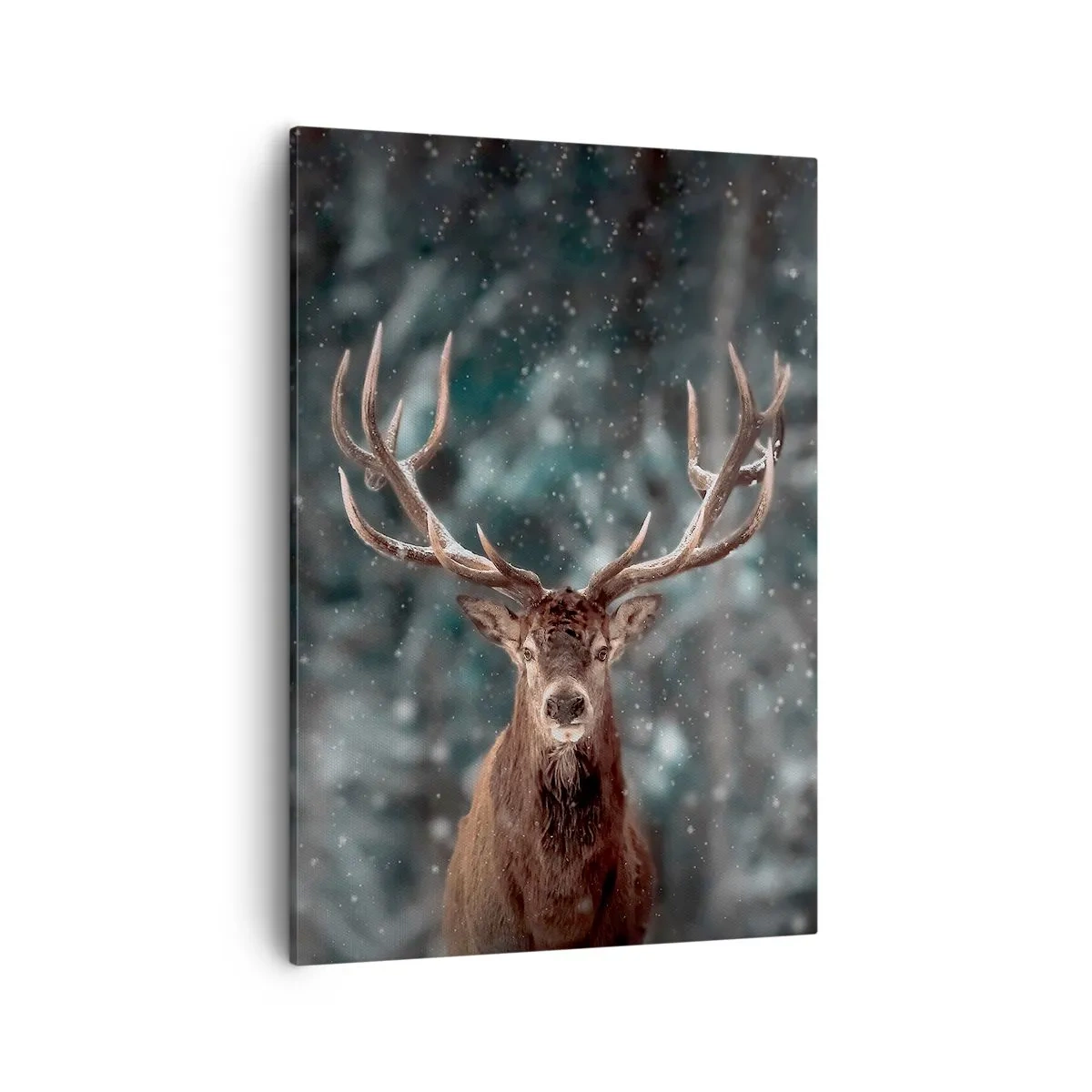 Lærredstryk - Billede på lærred - Skovens konge kronet - 50x70 cm