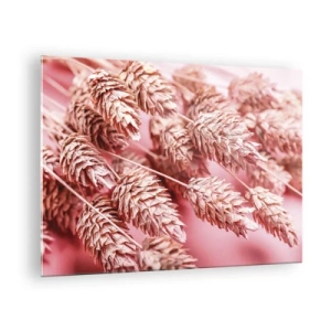 Billede på glas - Tørrede majskolber i lyserøde nuancer på en pastelbaggrund - 70x50cm - Blomsterkaskade i lyserødt - Moderne vægdekoration til stue og soveværelse ARTTOR