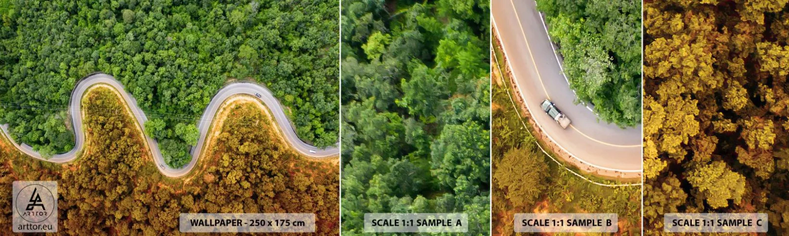 Fototapet Prøve Standard Eco - Grænser og gennembrud - Landskab, Bilvej, Skov - 100x30 cm