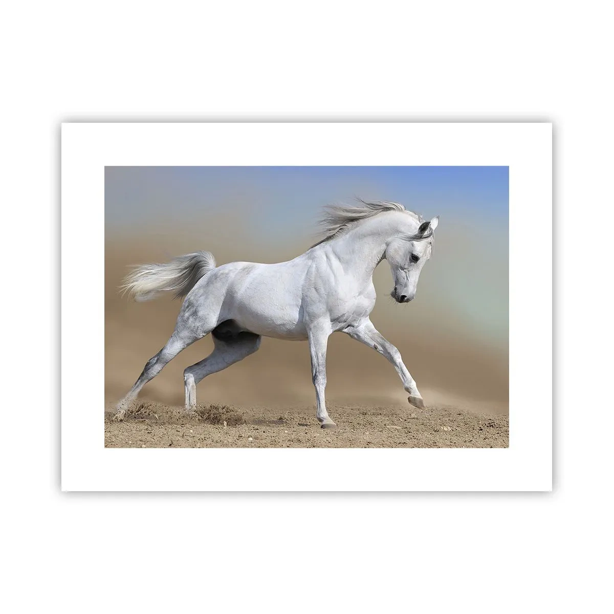 Plakat - Den smukkeste arabiske fortælling - 40x30 cm