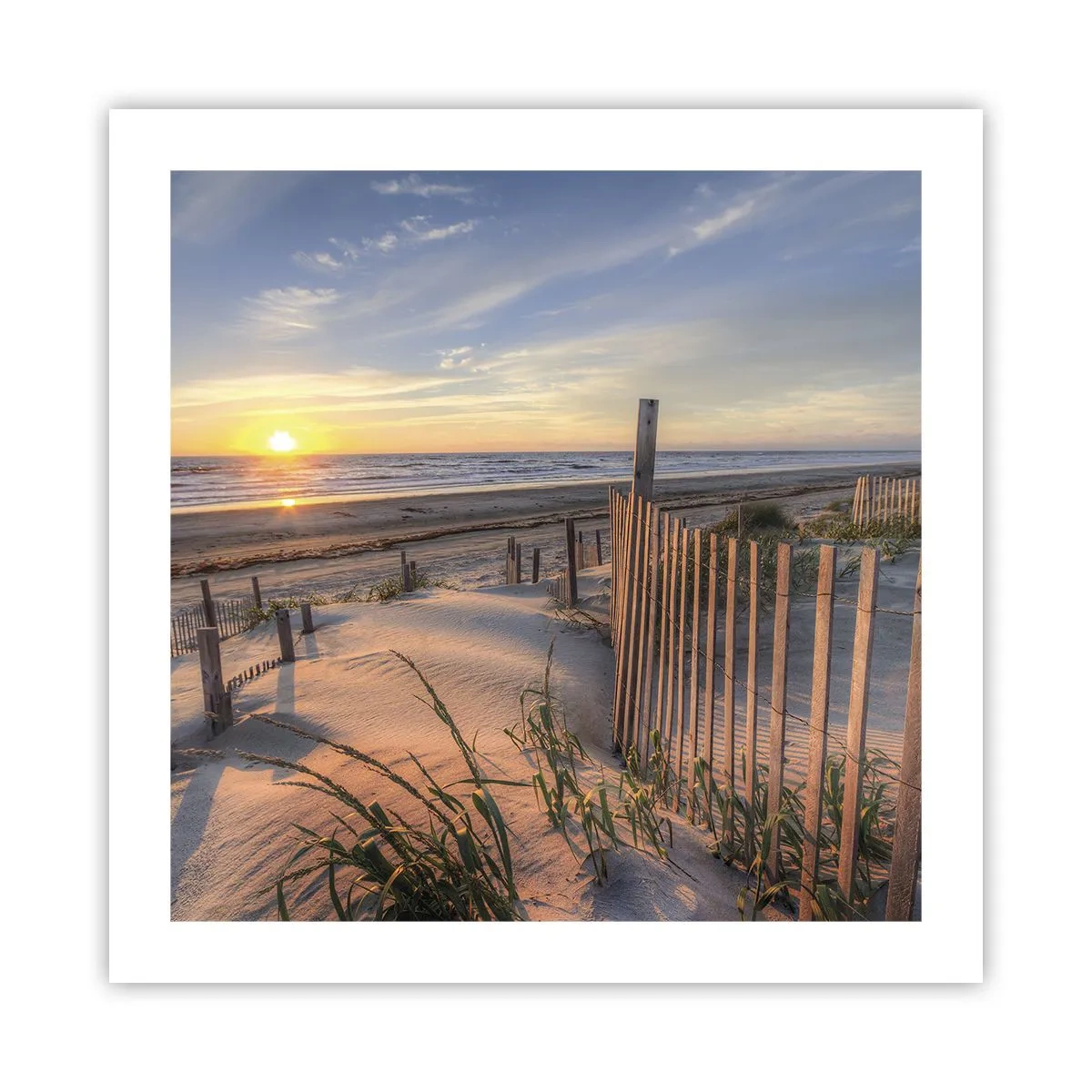 Plakat - Vindens blænding og skygge - 50x50 cm