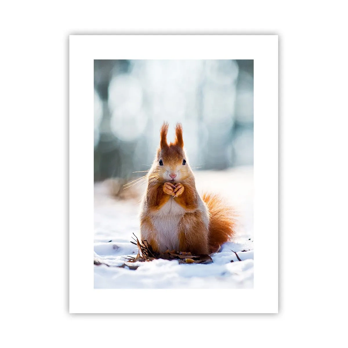 Plakat - Og hvad kigger du på? - 30x40 cm