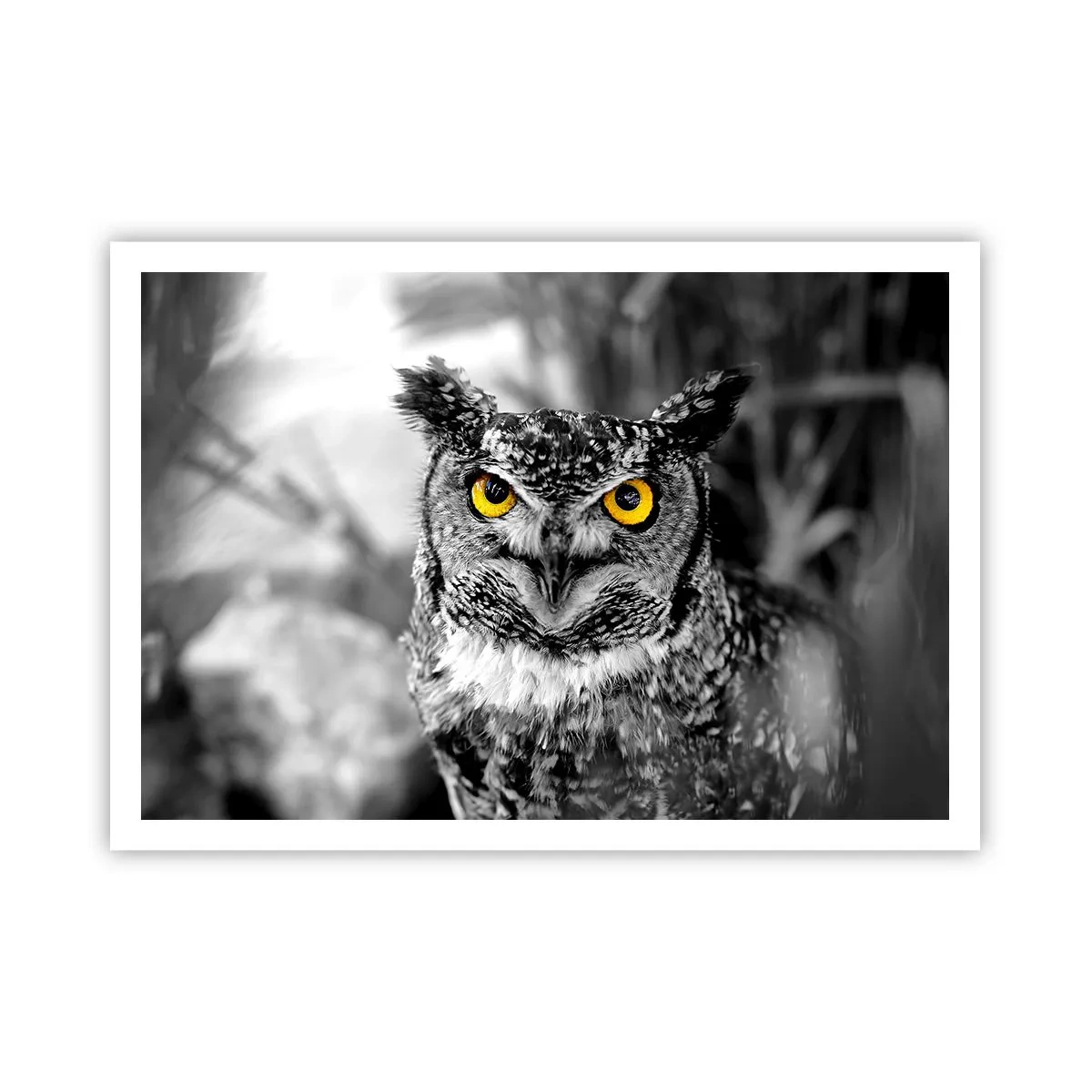 Plakat - Intet kan skjules - 100x70 cm