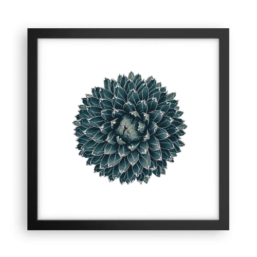Plakat i sort ramme - Ørkenstjerne - 30x30 cm