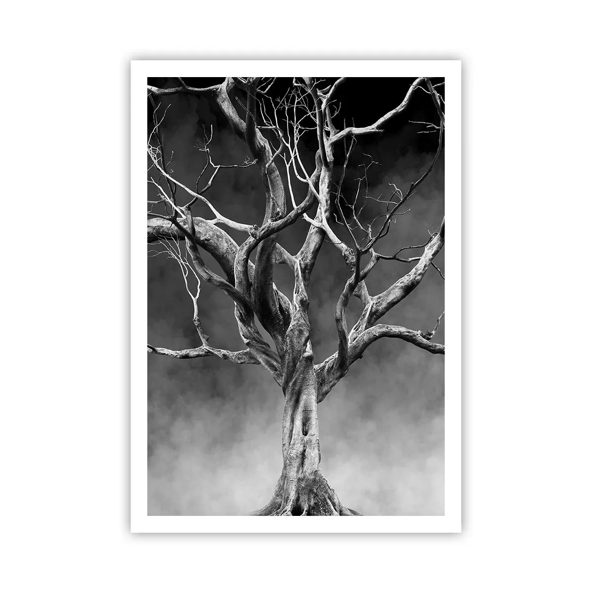Plakat - Primær og hellig - 70x100 cm