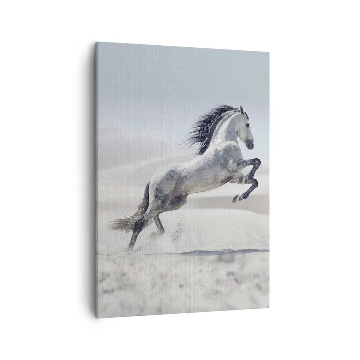 Lærredstryk - Billede på lærred - Arabisk prins - 50x70 cm