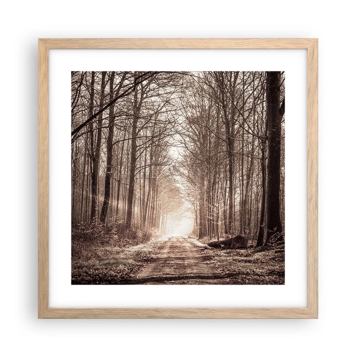 Plakat i ramme af lyst egetræ - Skovkatedralen - 40x40 cm