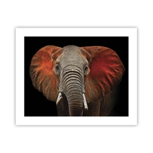 Plakat - Jeg er vild, er du? - 50x40 cm