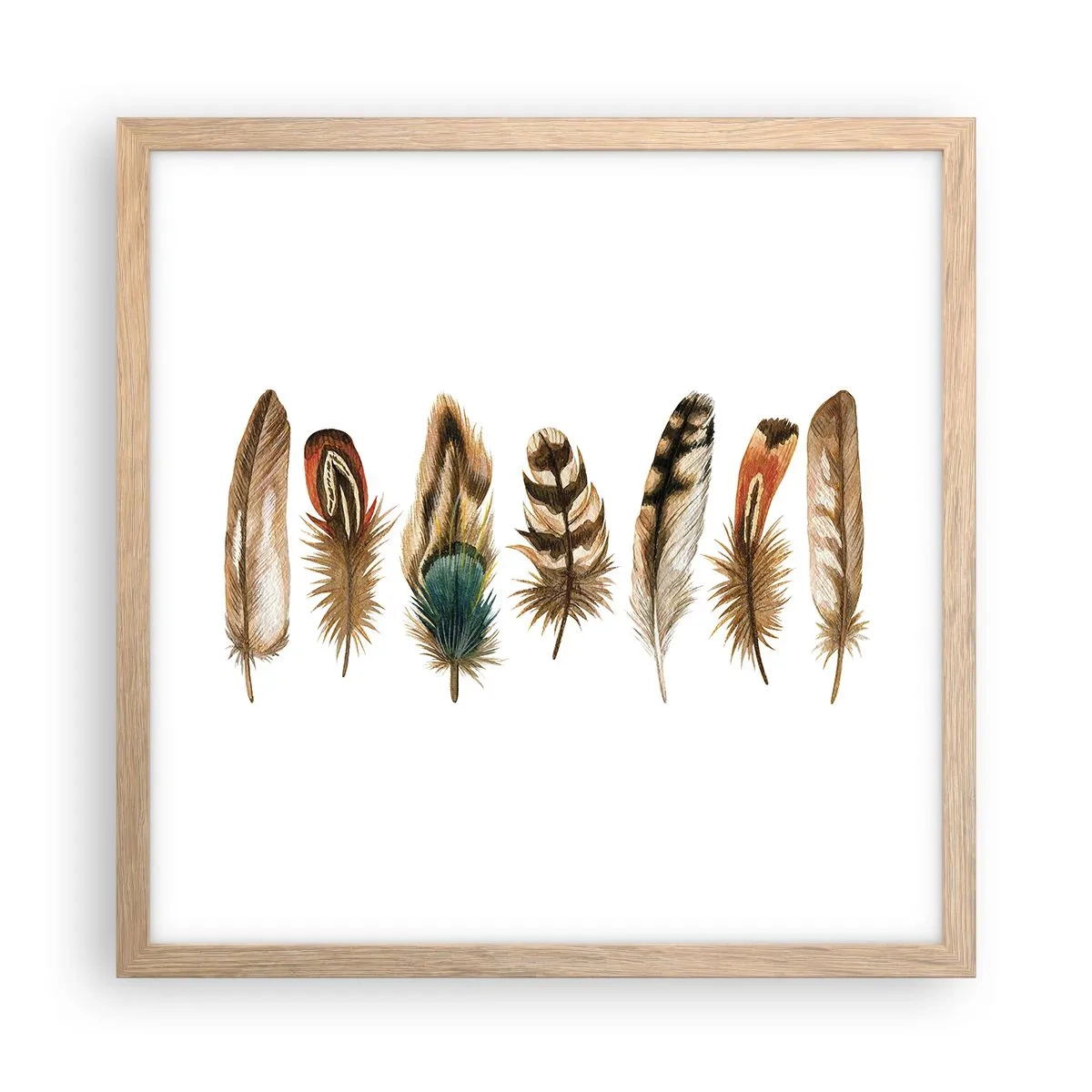 Plakat i ramme af lyst egetræ - Variation med fjer - 40x40 cm