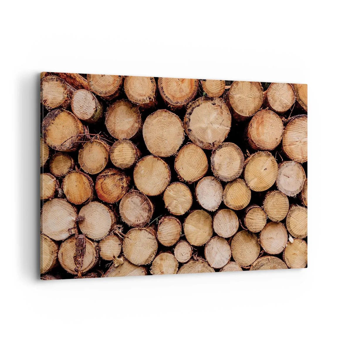 Lærredstryk - Billede på lærred - En ny begyndelse - 120x80 cm