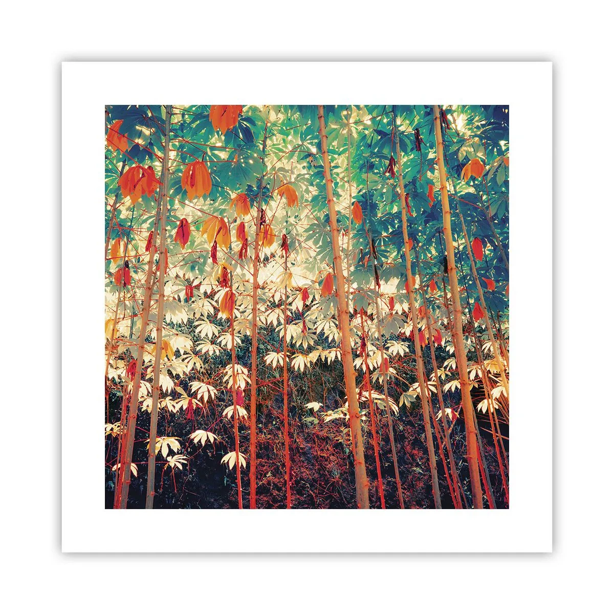 Plakat - Bladenes hemmelige liv - 40x40 cm