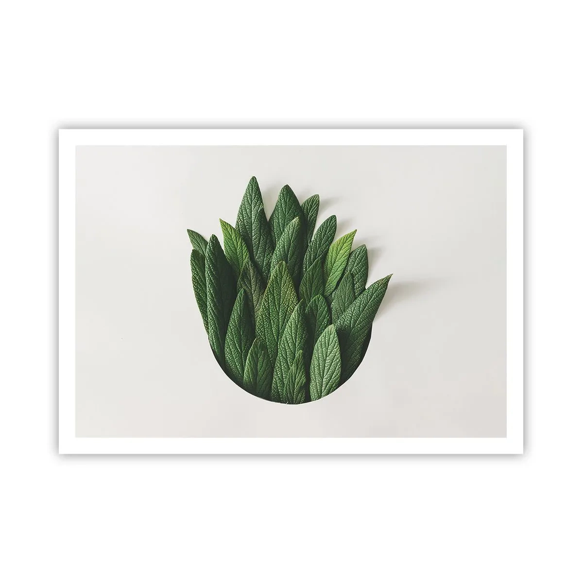 Plakat - Uhæmmet nysgerrighed - 100x70 cm