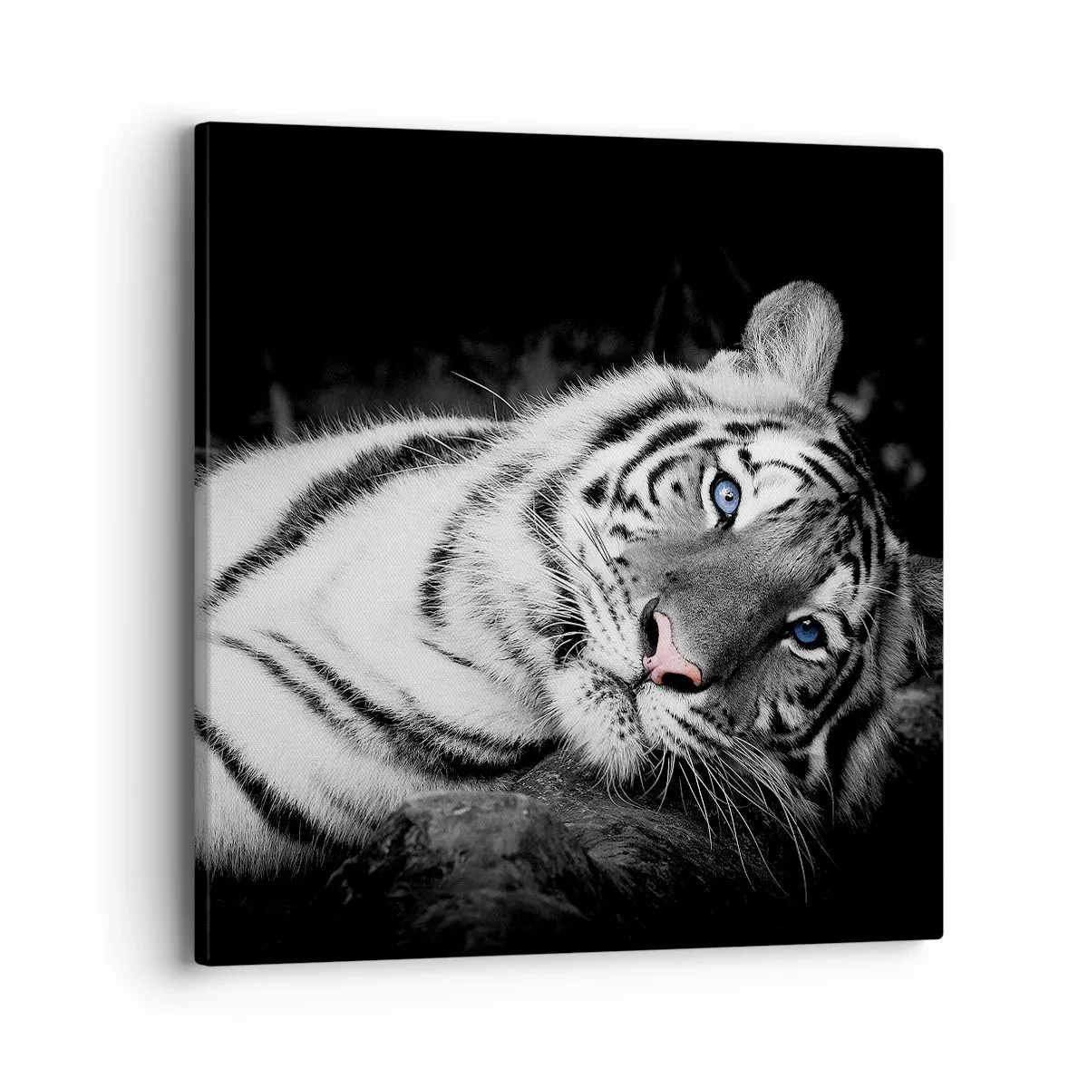 Lærredstryk - Billede på lærred - Vildskab og fred - 40x40 cm