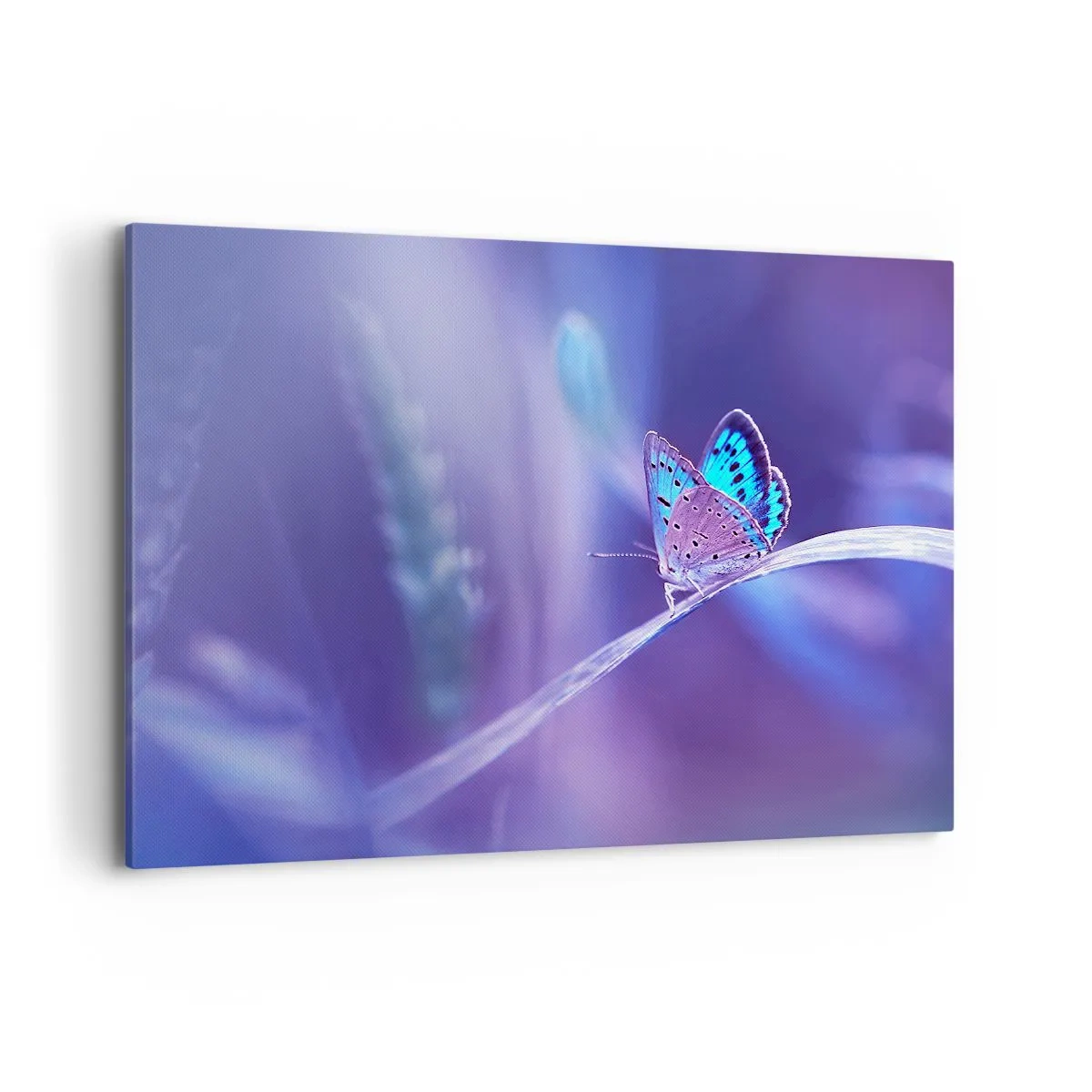 Lærredstryk - Billede på lærred - Naturens juvel - 100x70 cm