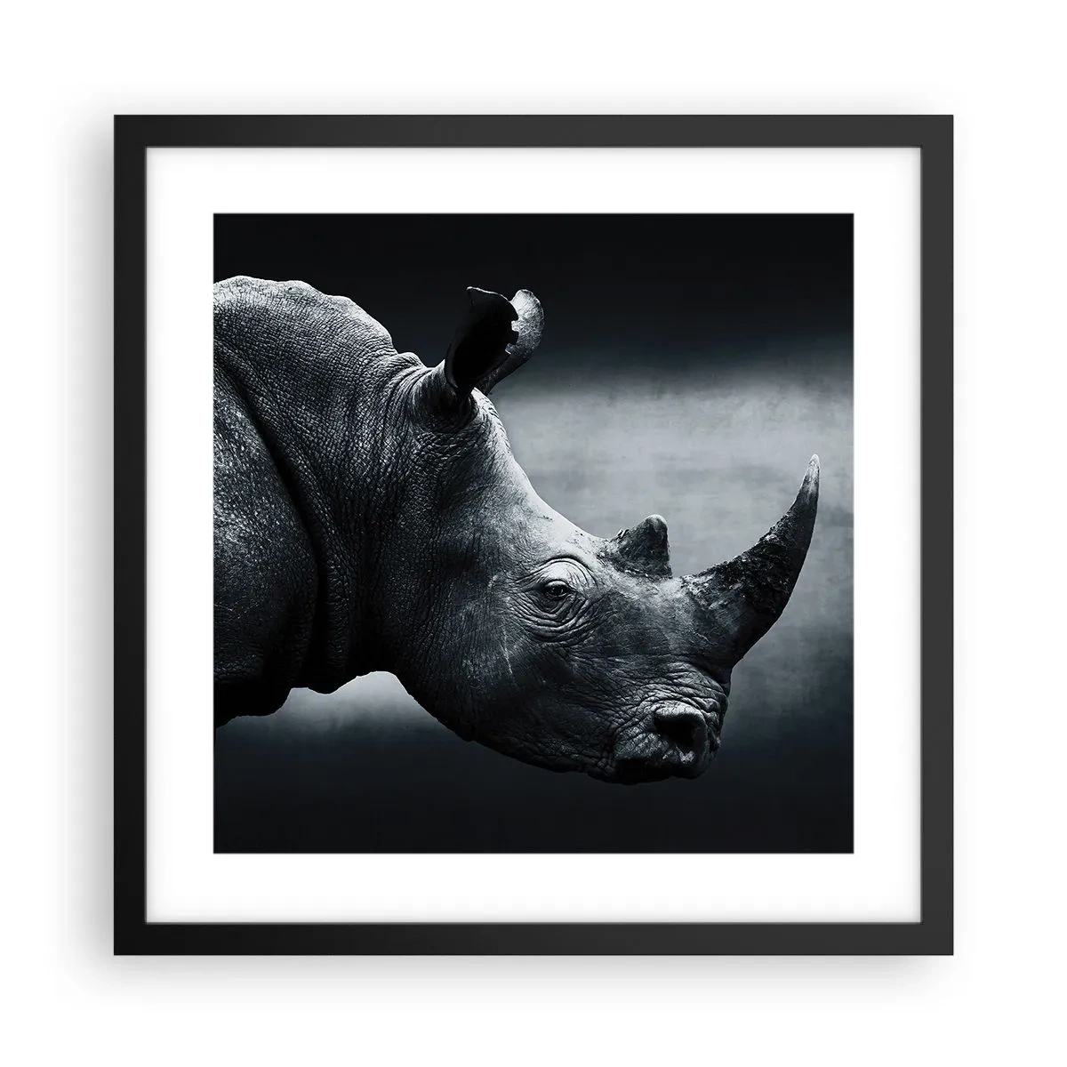 Plakat i sort ramme - Højre profil - 40x40 cm
