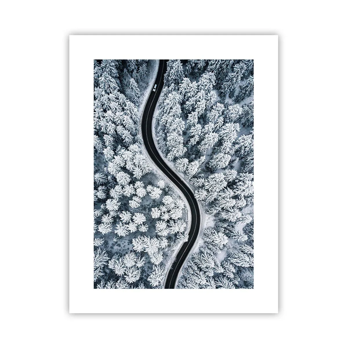 Plakat - Gennem en vinterskov - 30x40 cm