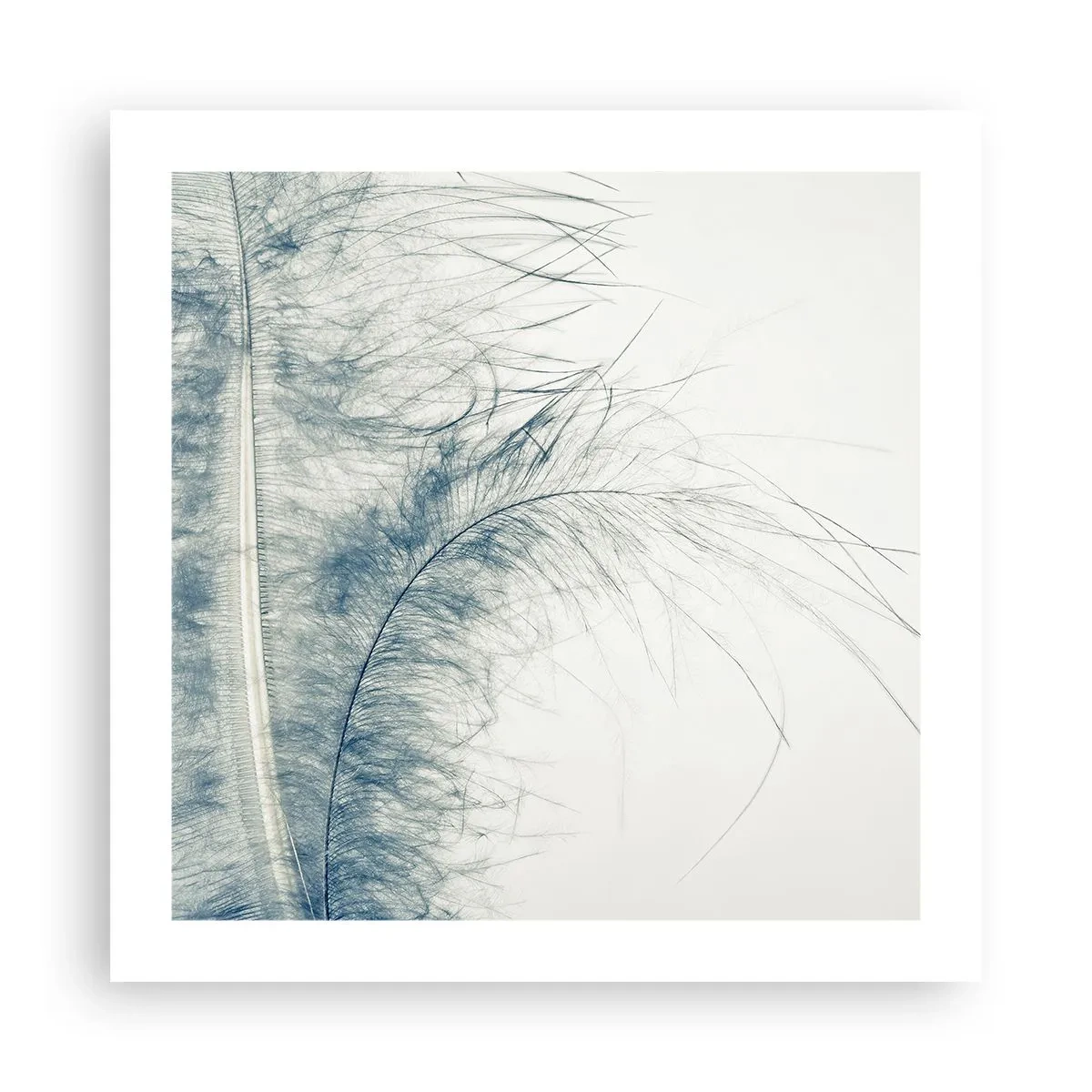 Plakat - Naturens hvisken - 50x50 cm