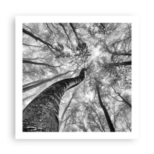 Plakat - Kapløb mod lyset - 60x60 cm