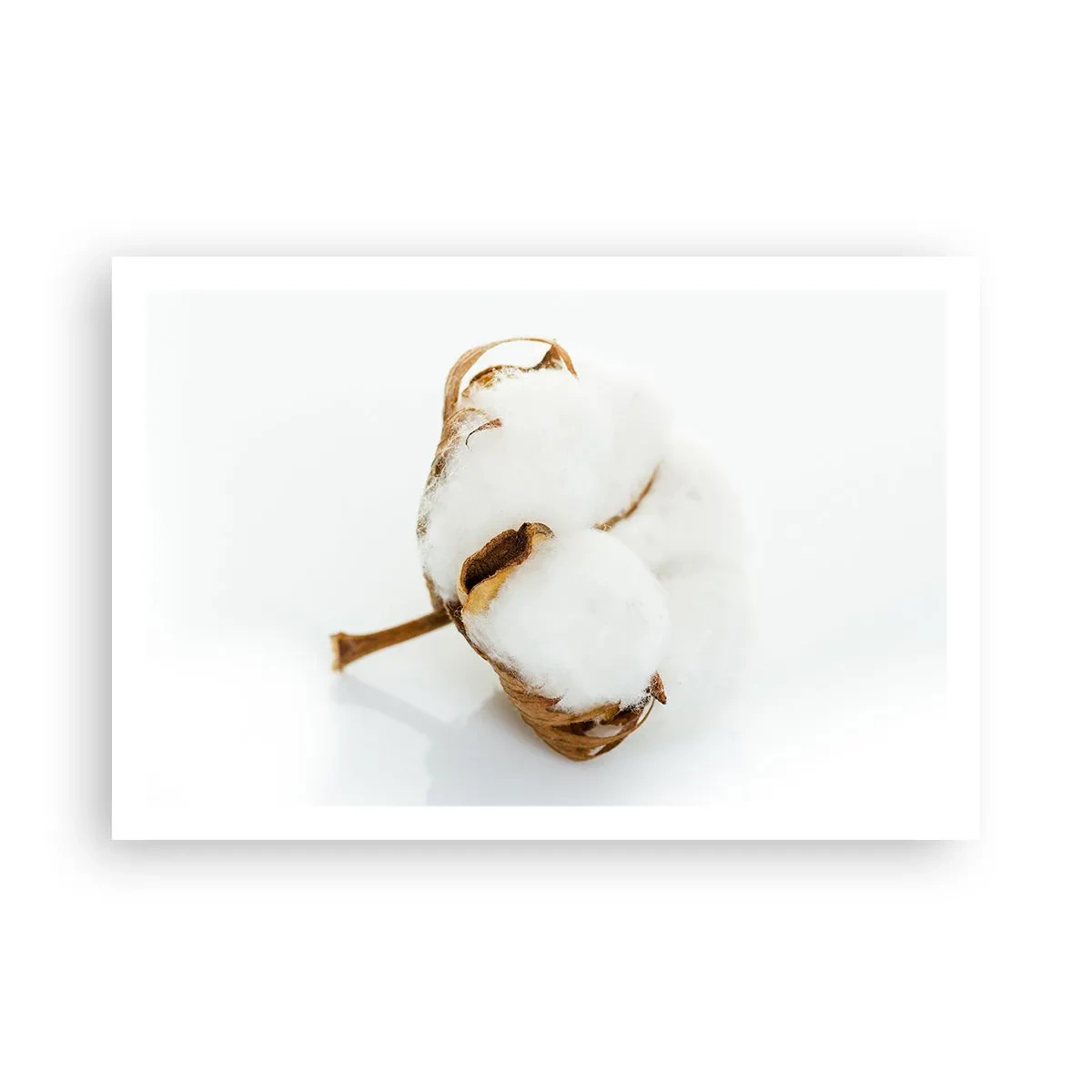 Plakat - Blød af natur - 91x61 cm