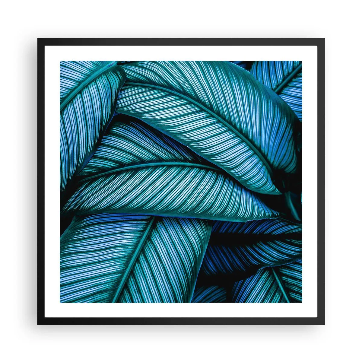 Plakat i sort ramme - Livslinjer - 60x60 cm