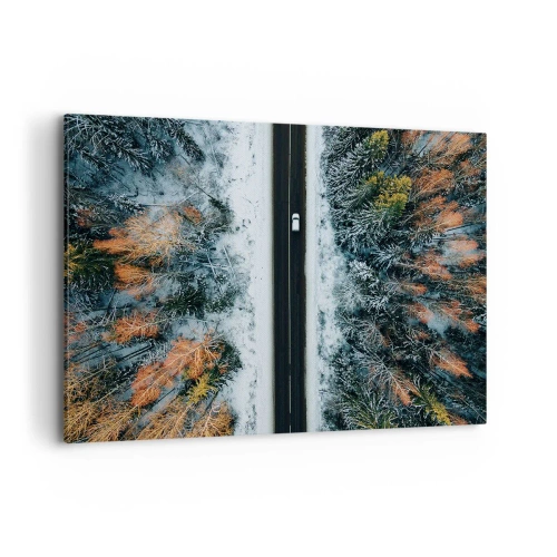 Lærredstryk - Billede på lærred - Skær gennem vinterskoven - 120x80 cm