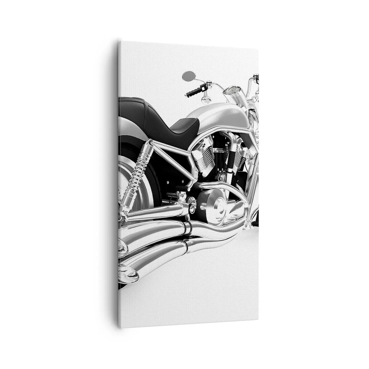 Lærredstryk - Billede på lærred - En drøm for samlere - 55x100 cm