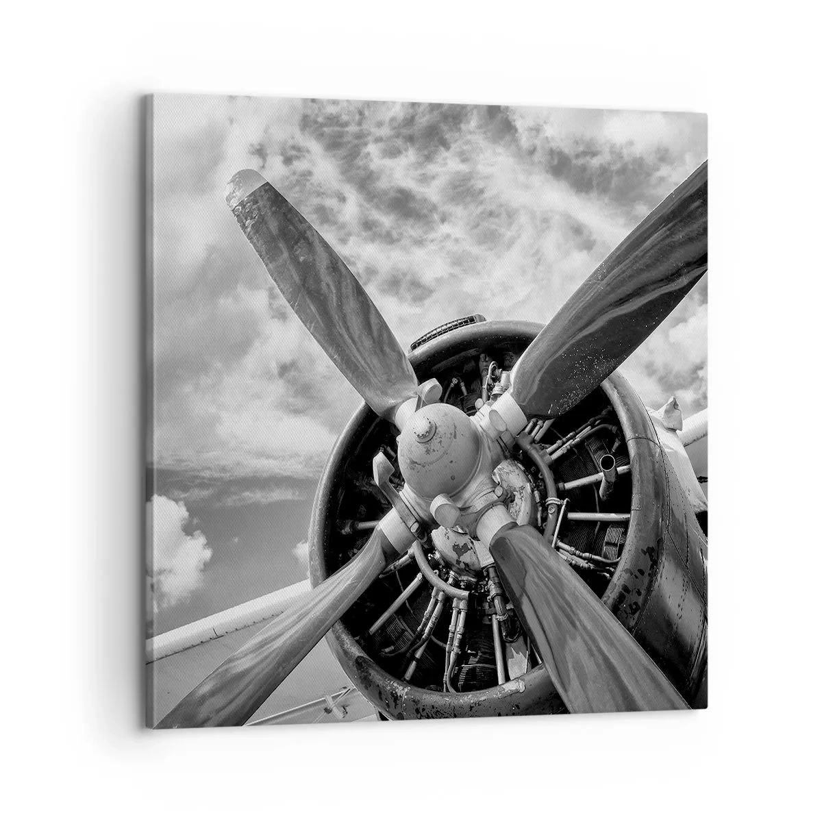 Lærredstryk - Billede på lærred - Himmelens erobrer - 60x60 cm