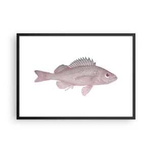 Plakat i sort ramme - Fisk med store øjne - 70x50 cm