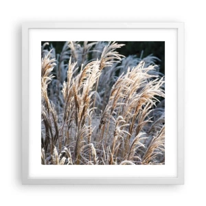 Plakat i hvid ramme - Pyntet med frost - 40x40 cm