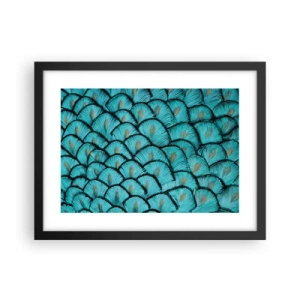 Plakat i sort ramme - Den store fjer-galla - 40x30 cm