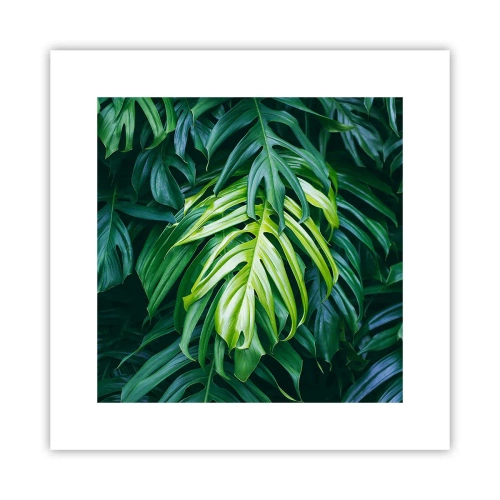 Plakat - Fordyb dig i friskhed - 30x30 cm