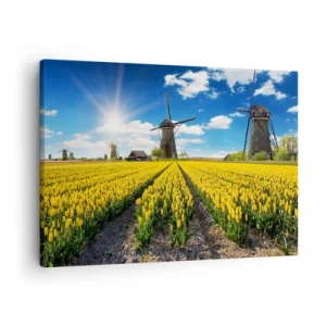 Lærredstryk - Billede på lærred - Et felt af gule tulipaner med vindmøller i horisonten - 70x50cm - Kunne ikke være mere hollandsk - Moderne vægdekoration til stue og soveværelse ARTTOR