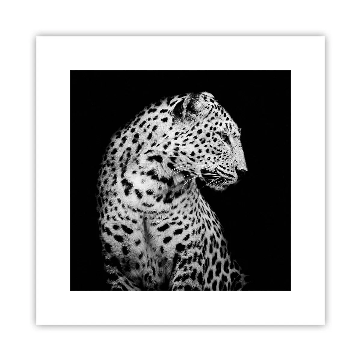 Plakat - Den rigtige profil er perfekt! - 30x30 cm