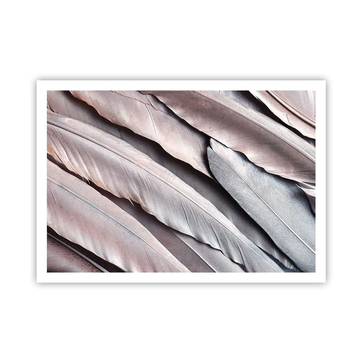 Plakat - I lyserødt sølv - 100x70 cm