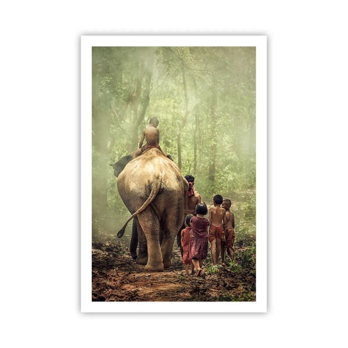 Plakat - Den nye Junglebog - 61x91 cm