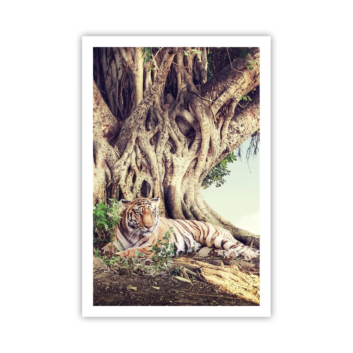 Plakat - Udsigt fra Første Mosebog - 61x91 cm