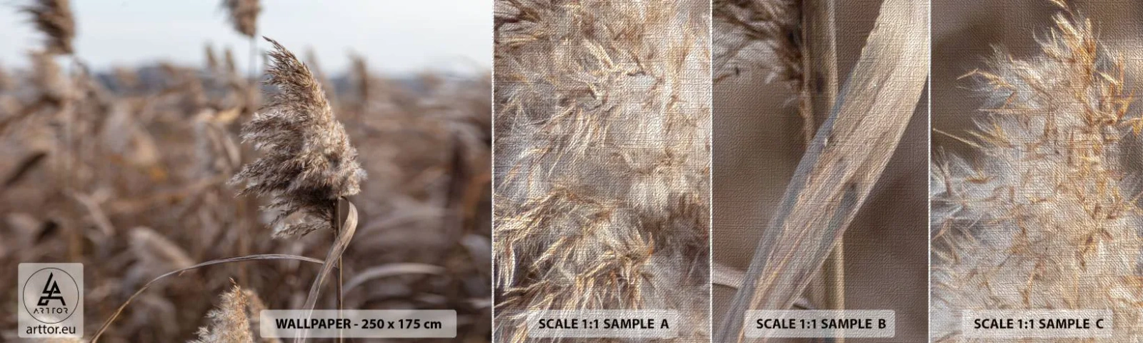 Prøve Fototapet Premium Canvas - Tid til at flyve væk med vinden - Eng, Pampas græs, Natur - 100x30 cm