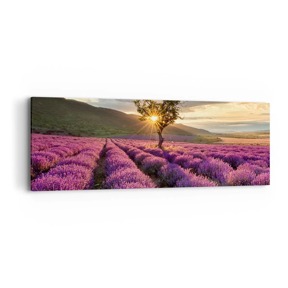 Lærredstryk - Billede på lærred - Lilla aroma - 90x30 cm
